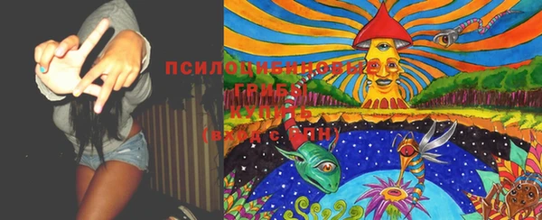 прущие крисы Балахна