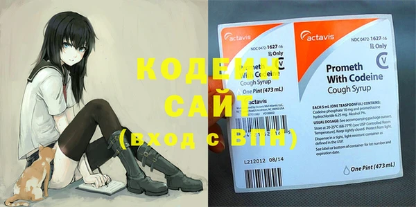 прущие крисы Балахна