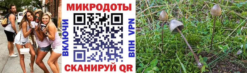 KRAKEN маркетплейс  Бронницы  Псилоцибиновые грибы Psilocybine cubensis  закладки 