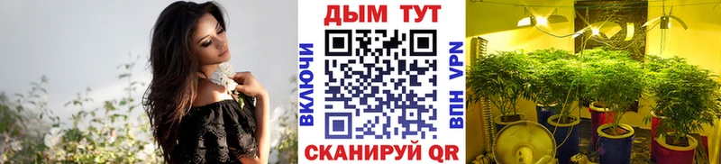 Бошки Шишки гибрид  Бронницы 
